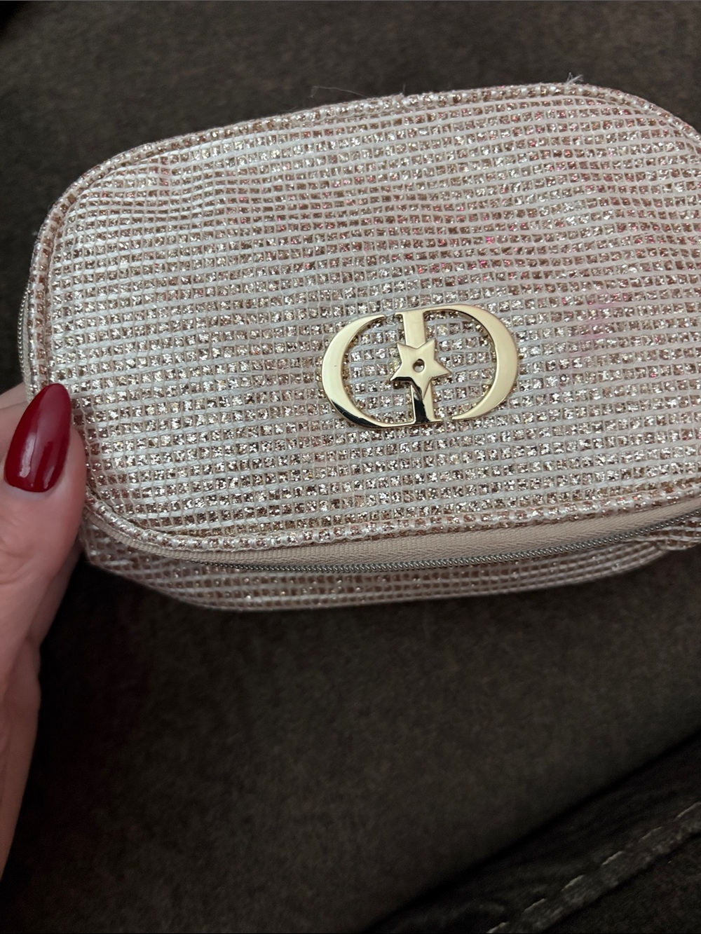 Dior Crystal-Embellished Cosmetic Case in Light Gold